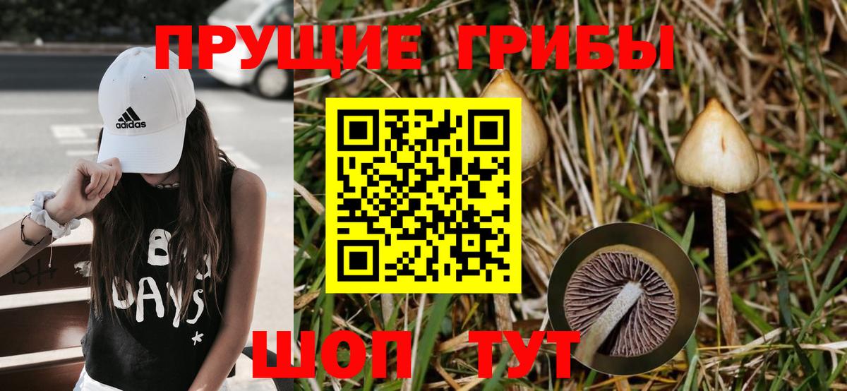 Псилоцибиновые грибы Psilocybe  Вход с VPN  Изобильный 