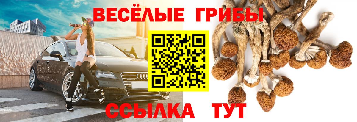 Галлюциногенные грибы Psilocybine cubensis Изобильный